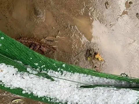 Mưa đá bất ngờ xuất hiện tại Mù Cang Chải, trời sập tối giữa ban ngày ở TP Yên Bái