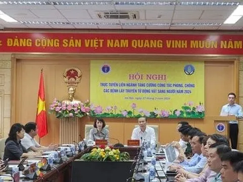 Dịch cúm gia cầm: Chưa có vắc-xin phòng, tỉ lệ tử vong cao