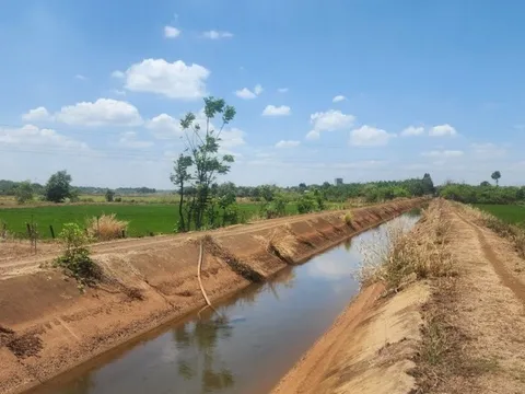 Bình Phước: 1.444 hộ gia đình ảnh hưởng bởi hạn hán