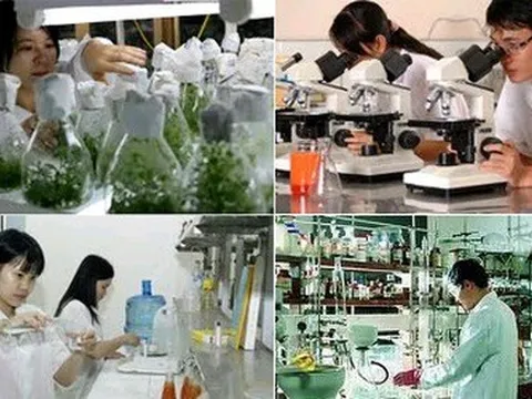 Công bố 4 thủ tục hành chính mới ban hành lĩnh vực khoa học và công nghệ