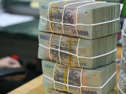 Chính phủ chỉ đạo triển khai thi hành Luật Các tổ chức tín dụng