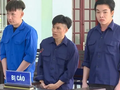 Gần 50 năm tù cho 3 đối tượng mua bán trái phép ma túy