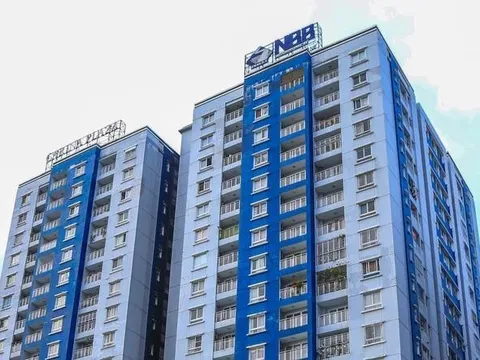 Năm Bảy Bảy nói gì về việc lợi nhuận 'bốc hơi' 87% sau kiểm toán?