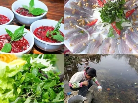 Nạp hàng nghìn ký sinh trùng khi ăn những loại thực phẩm này