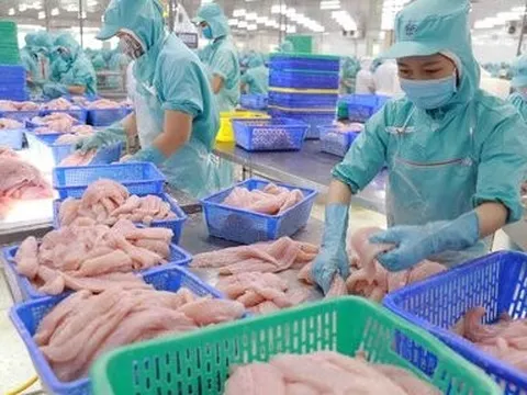 Khối lượng giảm, giá cá tra xuất khẩu vẫn tăng