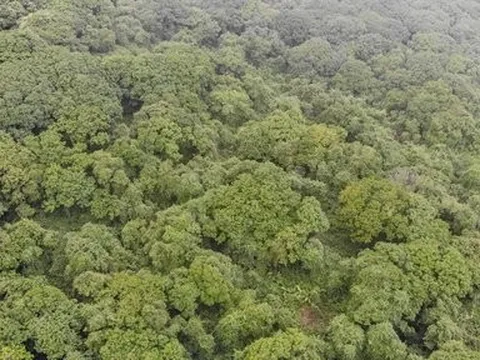 Thanh Hóa: Khoanh vùng được khu vực phạm nhân lẩn trốn