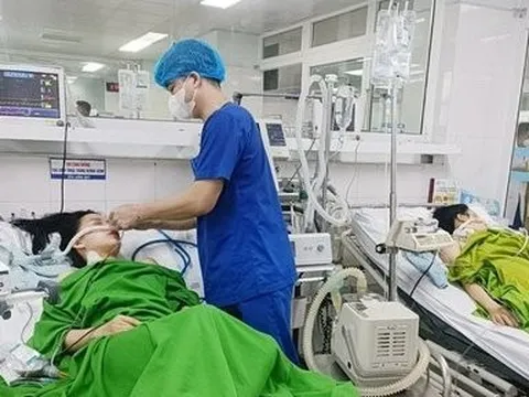 Ăn cơm trưa với “rau lạ” hai chị em nguy kịch