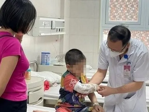 Vĩnh Phúc: Trẻ vỡ thận vì bị chó tấn công