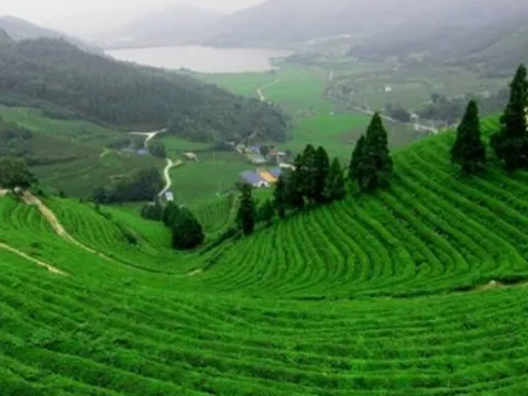 Xúc tiến, quảng bá du lịch "xứ chè" Thái Nguyên tại Tp.HCM năm 2024