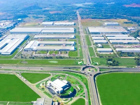 Tỷ phú Trần Bá Dương và giấc mơ đưa Quảng Nam trở thành trung tâm logistics miền Trung