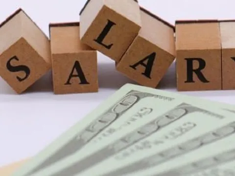 Bất ngờ mức lương sếp Vinamilk, Thế Giới Di Động, Novaland nhận trong năm 2023