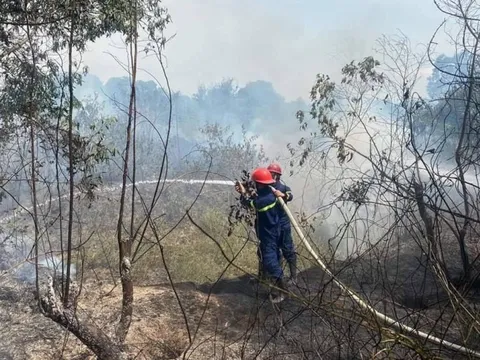 Tăng cường sử dụng phần mềm cảnh báo cháy rừng