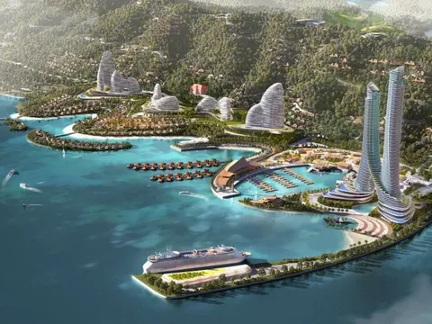 Crystal Bay của đại gia Nguyễn Đức Chi báo lãi trở lại, nợ phải trả còn hơn 4.500 tỷ đồng