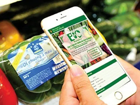 10 thông tin cơ bản để truy xuất nguồn gốc sản phẩm, hàng hóa