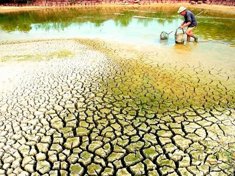 Thủ tướng yêu cầu tập trung bảo đảm cấp nước sinh hoạt cho người dân Đồng bằng sông Cửu Long