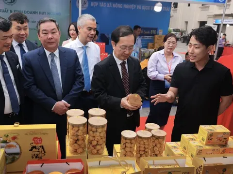 'Giấy thông hành' cho các sản phẩm xuất khẩu tiềm năng