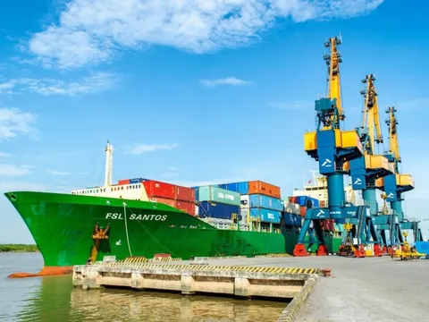 Công ty sở hữu đội tàu container lớn nhất Việt Nam lên kế hoạch lợi nhuận đi lùi năm thứ 2 liên tiếp, trả cổ tức tỷ lệ 20%