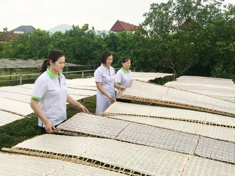 Bảo hộ quyền sở hữu trí tuệ cho các sản phẩm OCOP