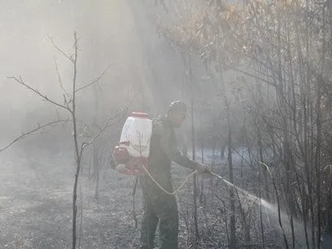 Người đứng đầu chịu trách nhiệm nếu để xảy ra cháy rừng nghiêm trọng