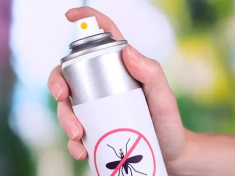 Thanh kiểm tra việc sản xuất, kinh doanh chế phẩm diệt côn trùng