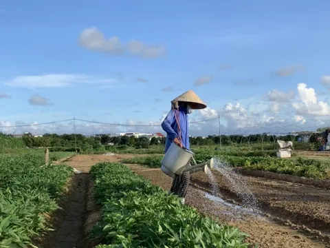 Bình Định tập trung phòng, chống hạn vụ hè thu