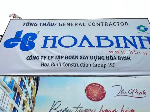 Xây dựng Hòa Bình tiếp tục nợ 10 tháng BHXH hơn 38 tỷ đồng