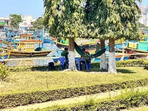 Bình Thuận: Điều tra vụ nam thanh niên bị đâm tử vong