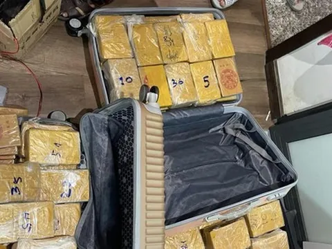 Vì sao nhiều nhóm tội phạm nước ngoài có đất sống ở Việt Nam?