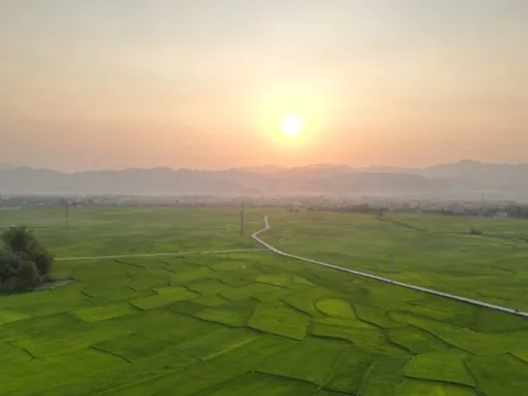 Tìm đường "lên đời" cho hạt gạo Mường Thanh