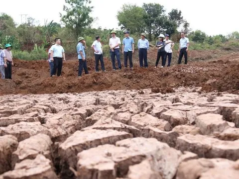 Các tỉnh Tây Nguyên gồng mình chống hạn