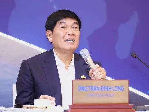 Tỷ phú Trần Đình Long: Hoà Phát cầm 30.000 tỷ đồng trong tay nhưng “có dám dùng đâu”