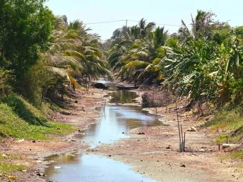 Cà Mau: Công bố hạn hán khẩn cấp