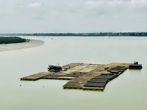 Chính quyền làm ngơ trước việc người dân kết bè thả hàu trên khu vực biên giới biển