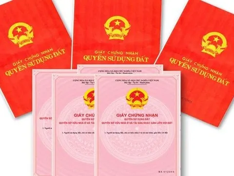 Khởi tố 2 nữ cán bộ nhận hối lộ khi làm hồ sơ đất đai