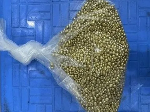 Bắt 2 đối tượng người nước ngoài lừa bán vàng giả chiếm đoạt hơn 600 triệu