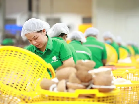 Từ case study UOB tài trợ tín dụng xanh cho Betrimex, vì đâu giới SMEs Việt chưa thu hút được dòng vốn xanh từ các nhà băng?