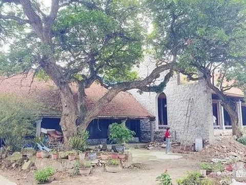 Hải Phòng: Di tích quốc gia bị xâm hại khi tu bổ, tôn tạo