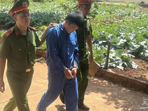 Khởi tố, tạm giam hai đối tượng gây ra nhiều vụ trộm cắp tài sản