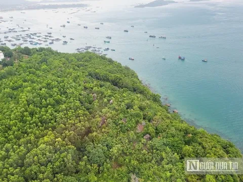 Cảnh báo lợi dụng danh nghĩa đo đạc đất rừng ở Phú Quốc để lừa đảo