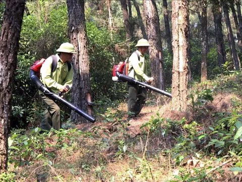 Thời tiết ngày 19/4: Nắng nóng nhiều nơi trên cả nước