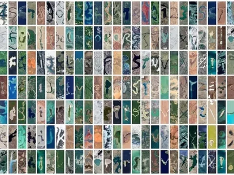 Nhân ngày Trái Đất 2024, Google thay ảnh đại diện