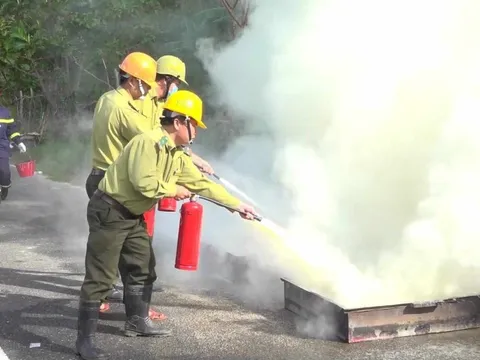 Miền Trung chủ động ứng phó nguy cơ cháy rừng cấp độ cao