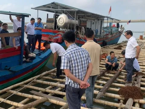 Vụ nuôi hàu trên sông Lam: Đề nghị chủ mô hình hoàn thiện các thủ tục
