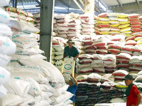 Quý I/2024, xuất khẩu phân bón tăng mạnh so với cùng kỳ