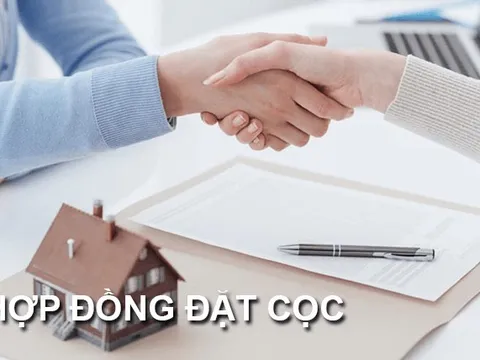 Đề xuất 2 phương án phạt cọc và trường hợp không phạt cọc