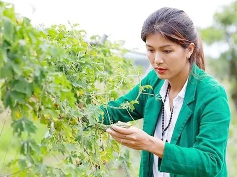 “Hoa hậu đông con nhất Việt Nam” đưa 6 con trở lại Tp.HCM sau 4 năm “bỏ phố về rừng”