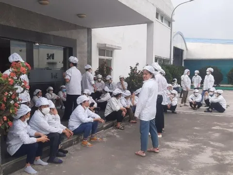 Nghệ An: Công nhân Công ty TNHH Điện tử BSE ngừng việc tập thể