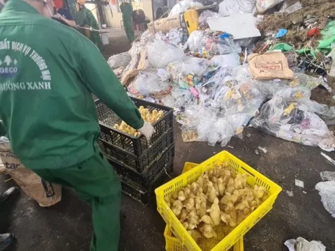 Hải Dương: Tiêu hủy 10.000 con vịt giống