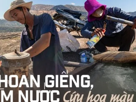 Xót xa cảnh bà con nông dân Ninh Thuận nỗ lực khoan giếng, tìm nước cứu hoa màu khi hồ thủy lợi khô đáy