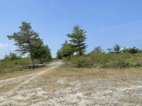 Quảng Nam: Nhiều doanh nghiệp vãng lai “chây ì” thuế, dẫn đến nợ đọng